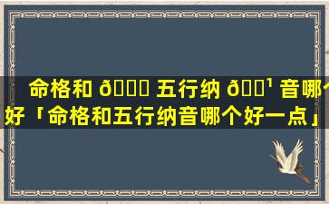 命格和 🐒 五行纳 🌹 音哪个好「命格和五行纳音哪个好一点」